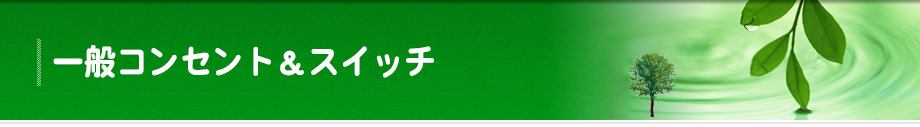 一般コンセント&スイッチ